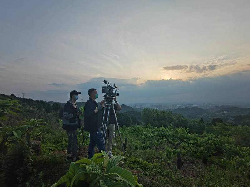 创意破圈！山城区电商产品宣传视频用故事化叙事引爆流量