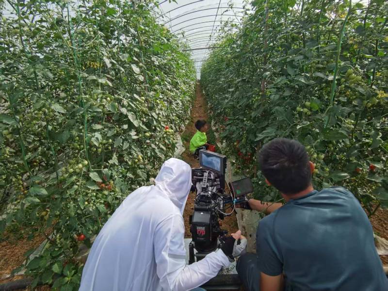 山城区产品宣传视频拍摄公司进阶指南，助力品牌抢占传播高地